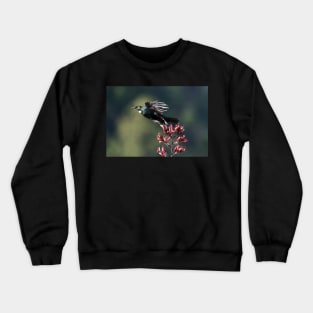 A Boisterous Beauty - Tui Crewneck Sweatshirt